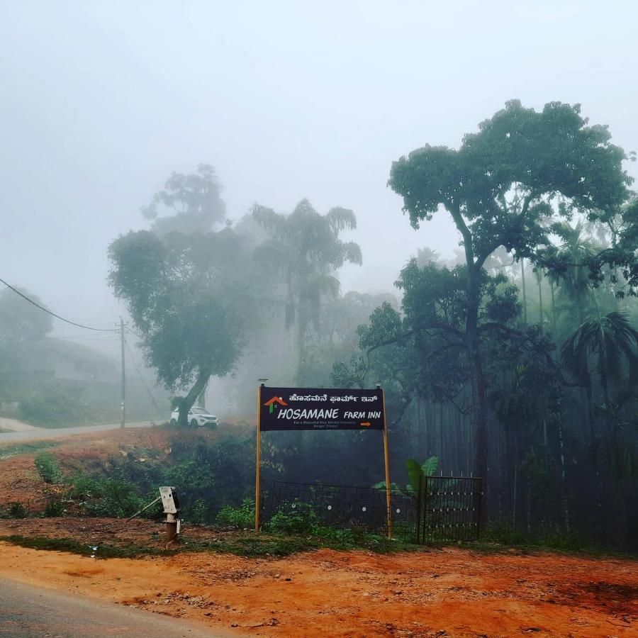 Hosamane Farm Inn Sringeri Luaran gambar