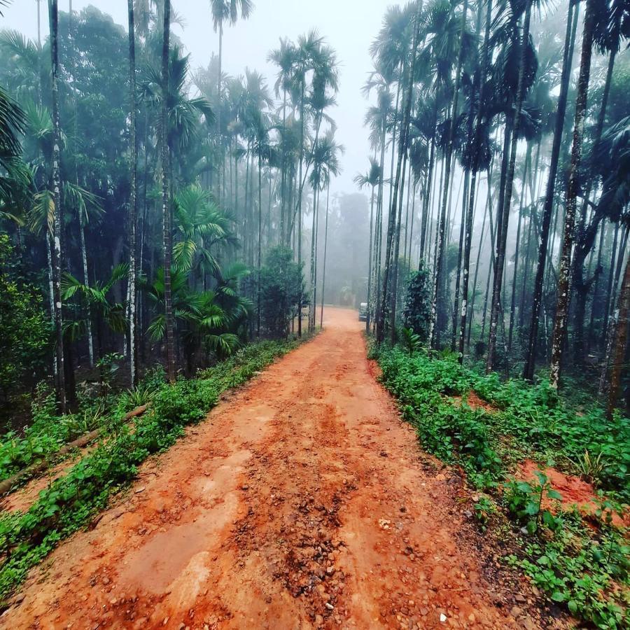Hosamane Farm Inn Sringeri Luaran gambar