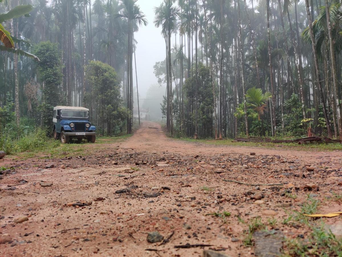 Hosamane Farm Inn Sringeri Luaran gambar
