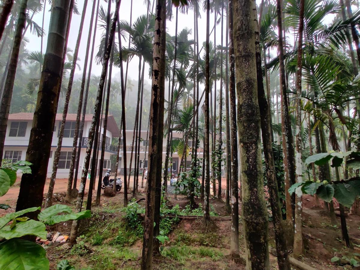 Hosamane Farm Inn Sringeri Luaran gambar
