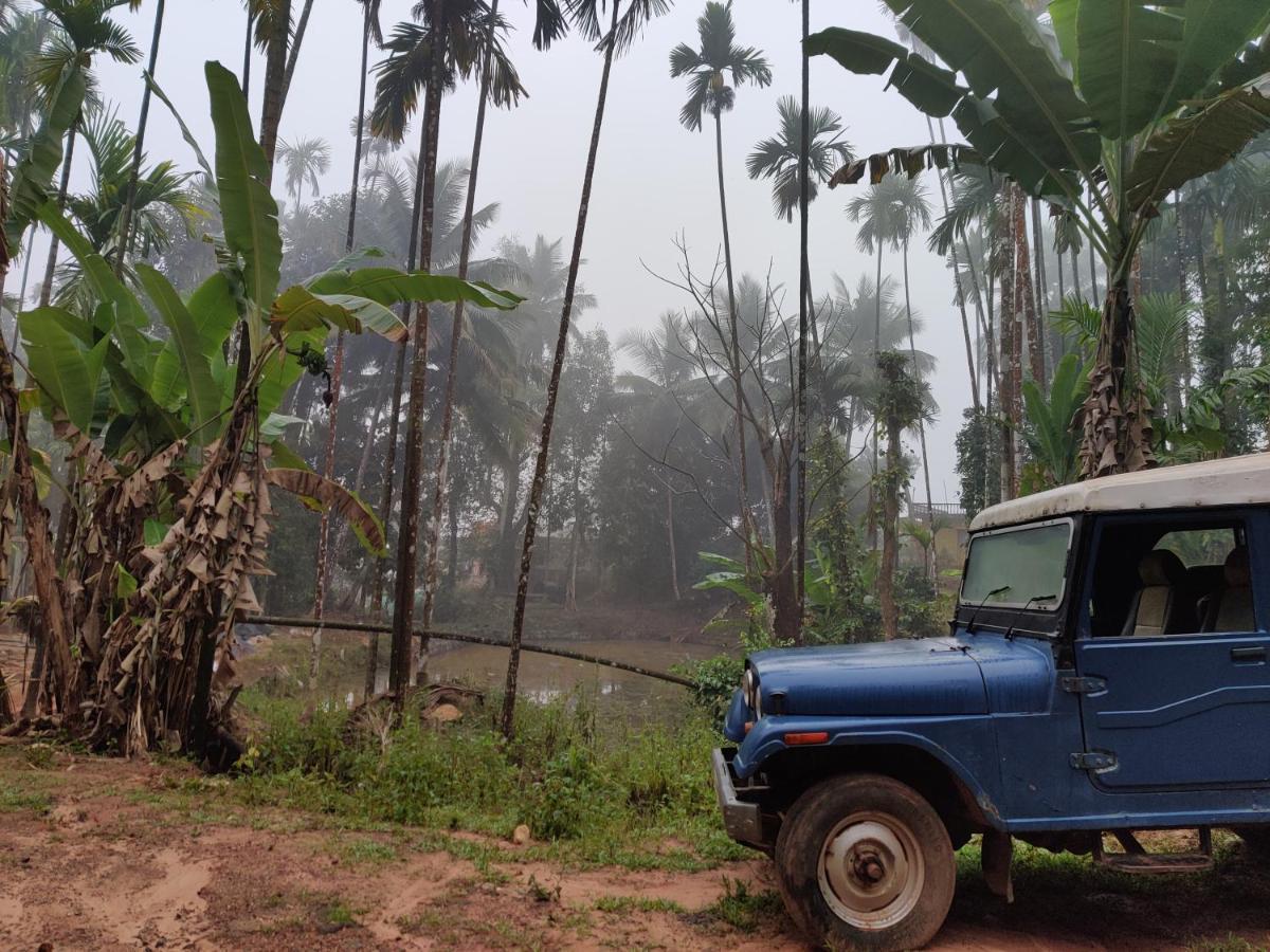 Hosamane Farm Inn Sringeri Luaran gambar