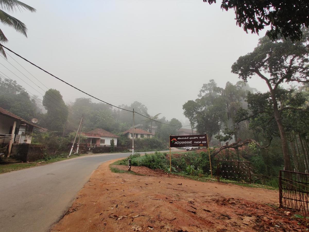 Hosamane Farm Inn Sringeri Luaran gambar