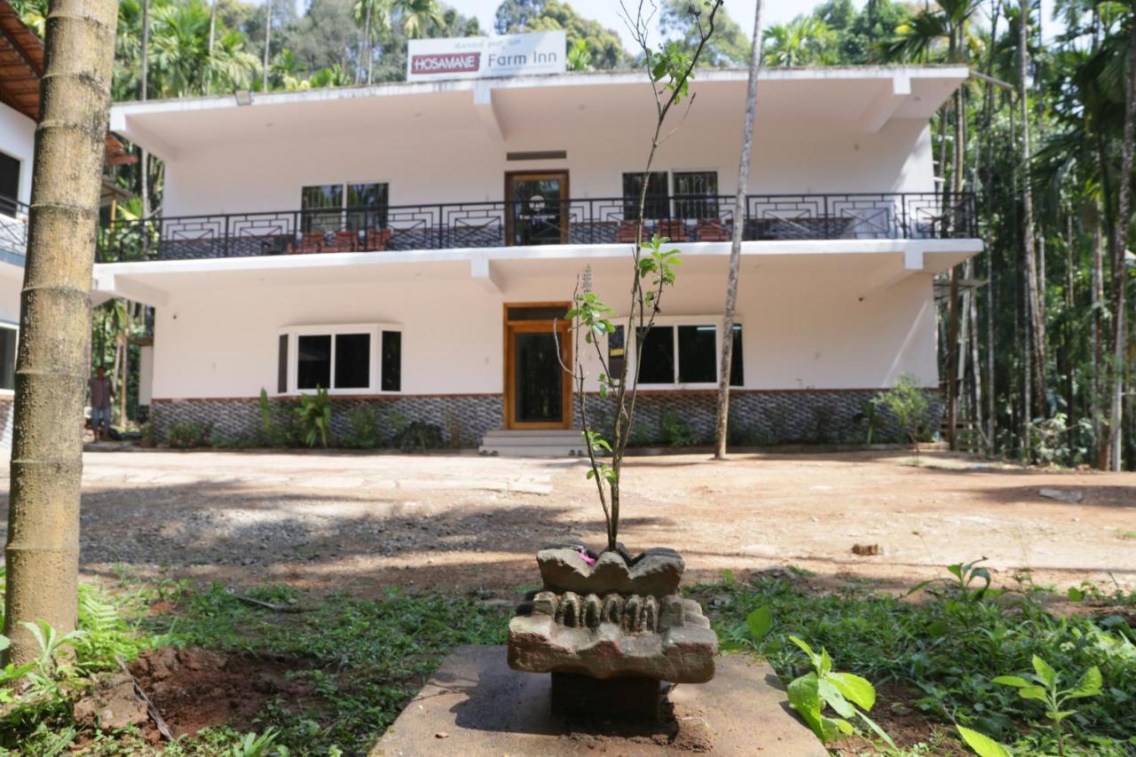 Hosamane Farm Inn Sringeri Luaran gambar