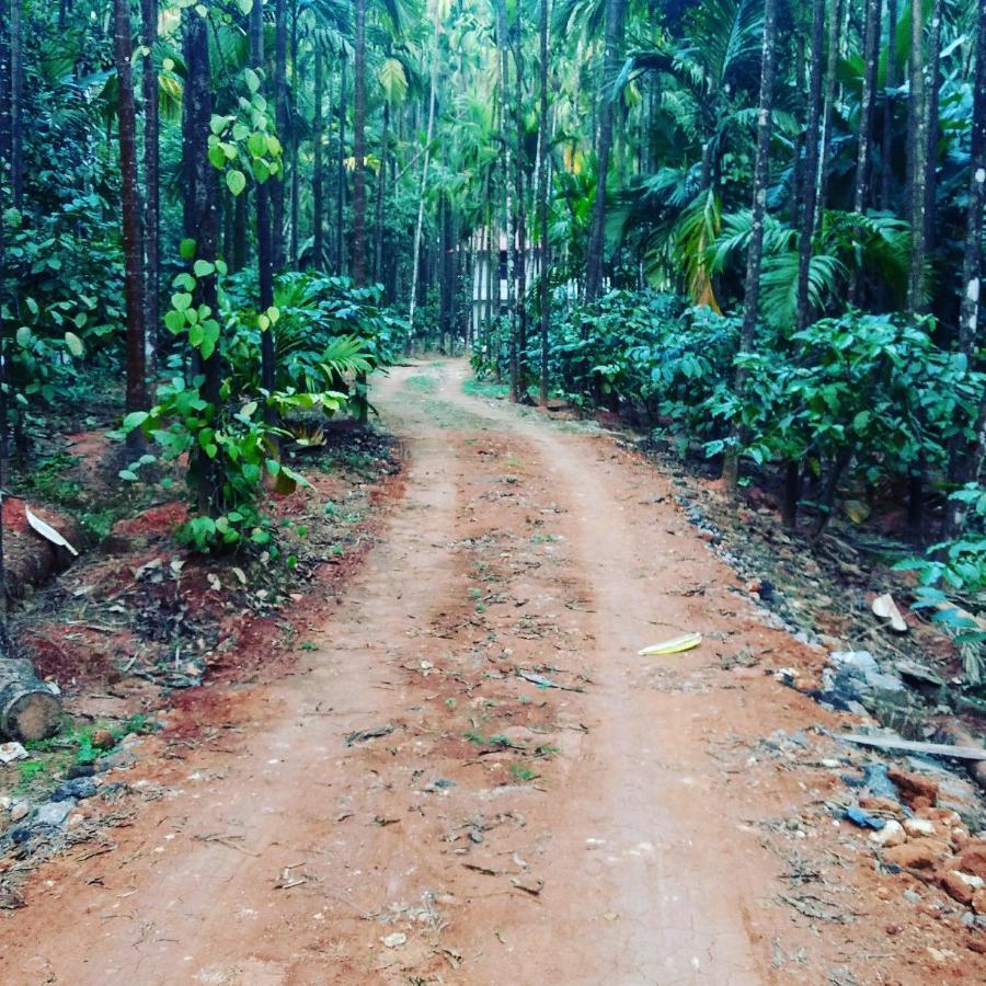 Hosamane Farm Inn Sringeri Luaran gambar