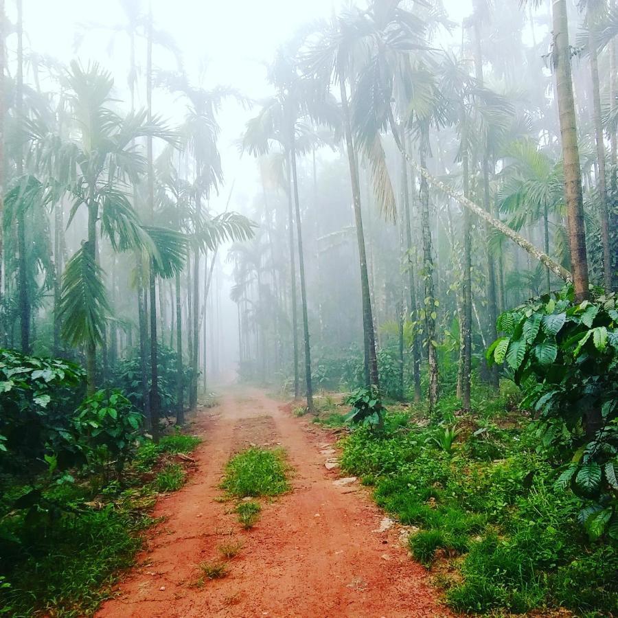 Hosamane Farm Inn Sringeri Luaran gambar